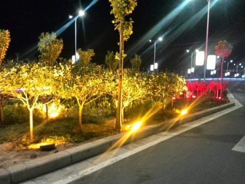 LED投光燈領域led光源cob光源